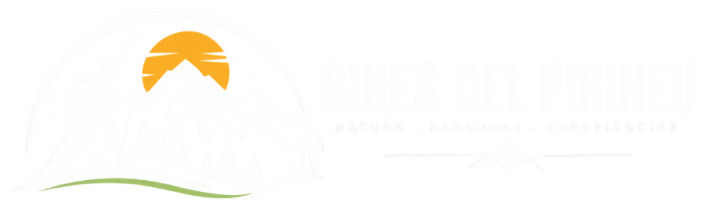 img logo web muntanyesdesalut 005